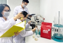 Pate MI-KAT – Bữa Ăn Mềm Mại & Ngon Miệng Cho Mèo