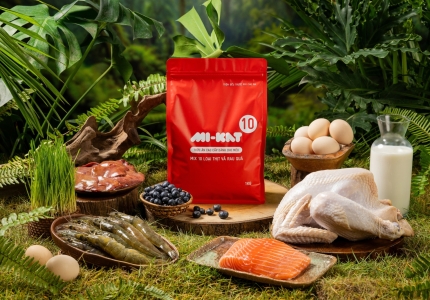 Hệ thống phân phối trực tuyến MI-KAT