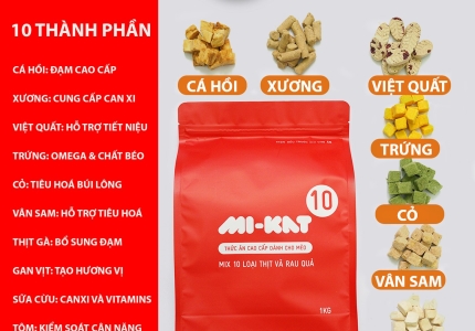 Hỗ trợ cộng đồng thú cưng tại các trung tâm cứu hộ