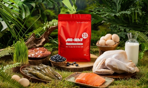 Hệ thống phân phối trực tuyến MI-KAT