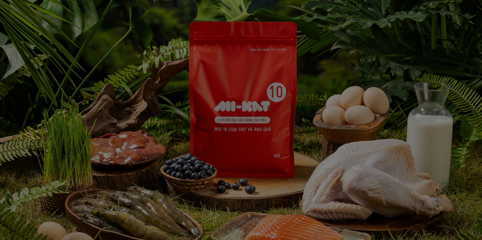 Hoạt động xã hội